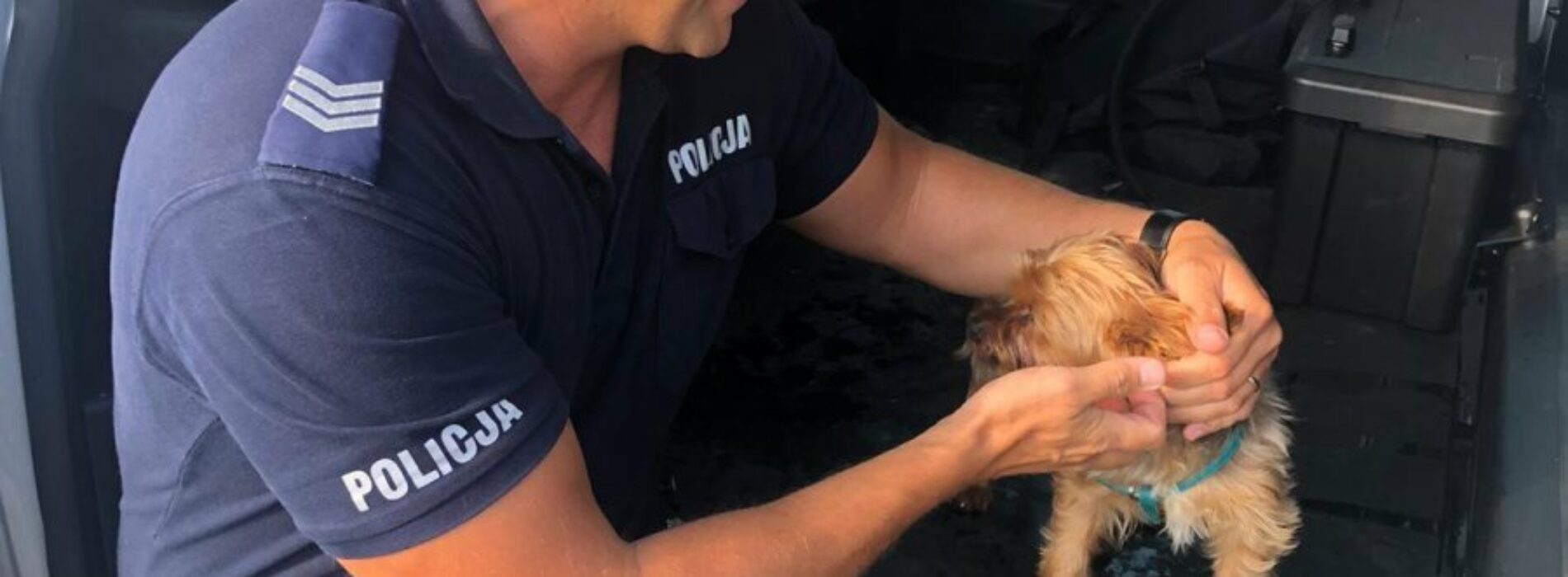 Policjanci uwolnili psa z nagrzanego samochodu